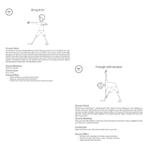 Pose Index sample showing “Bring It On” and “Triangle With Wisdom” from the Zoom In chakra sequence.