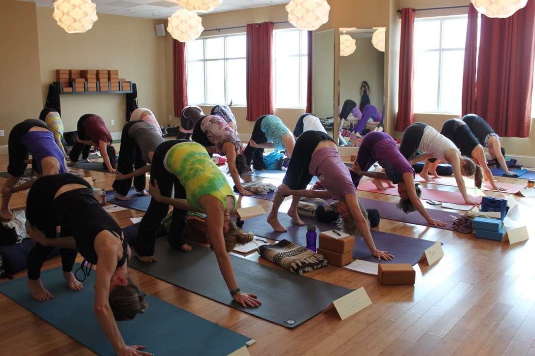 A studio full of adult trainees in Downward Facing Dog on mats with blocks and bolsters during a Grounded Kids children’s yoga teacher training.
